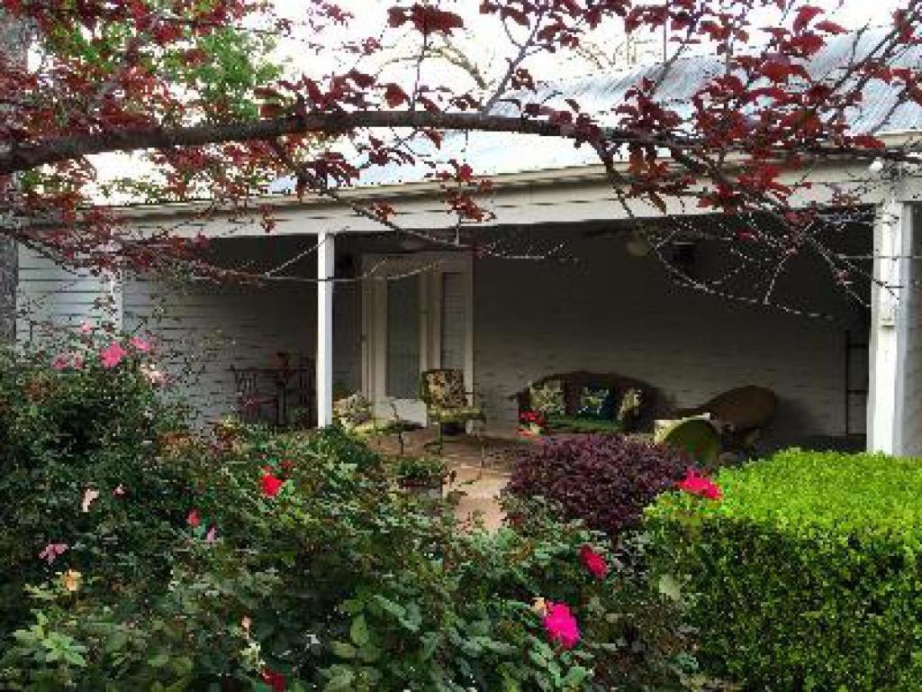 Comal Inn Нью-Браунфелс Номер фото